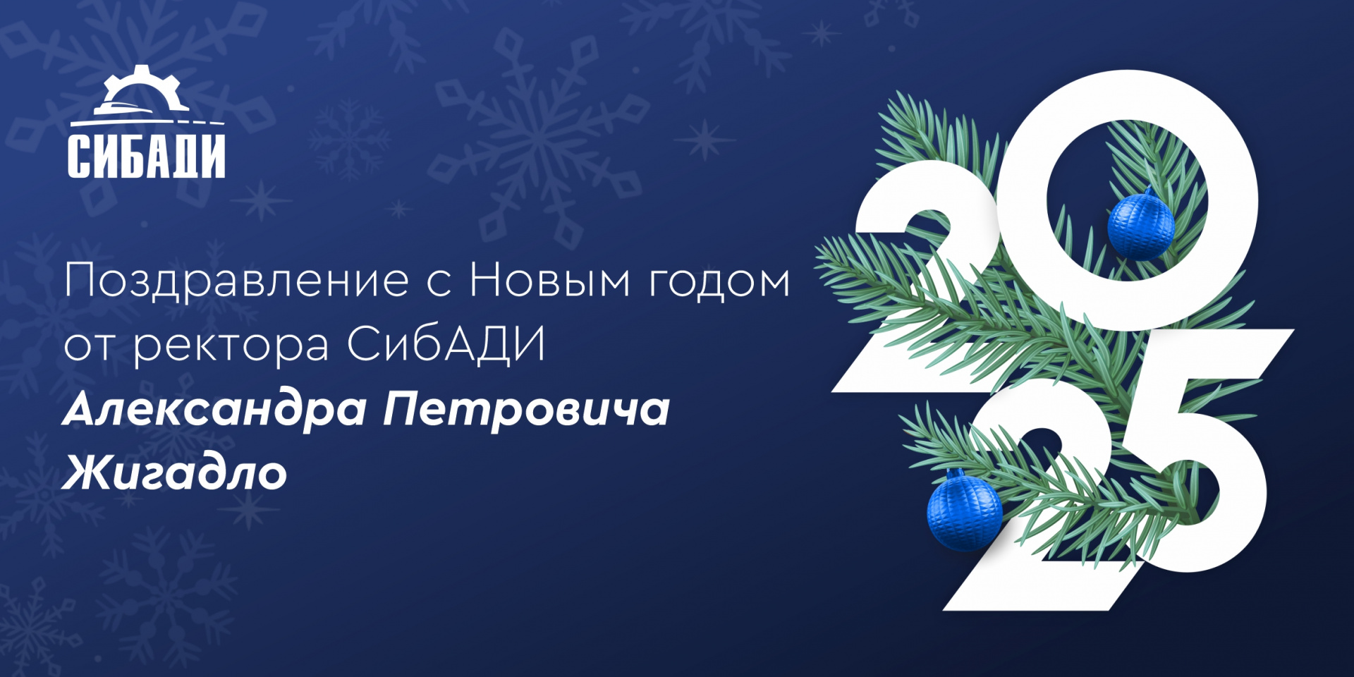 С новым 2025 годом!