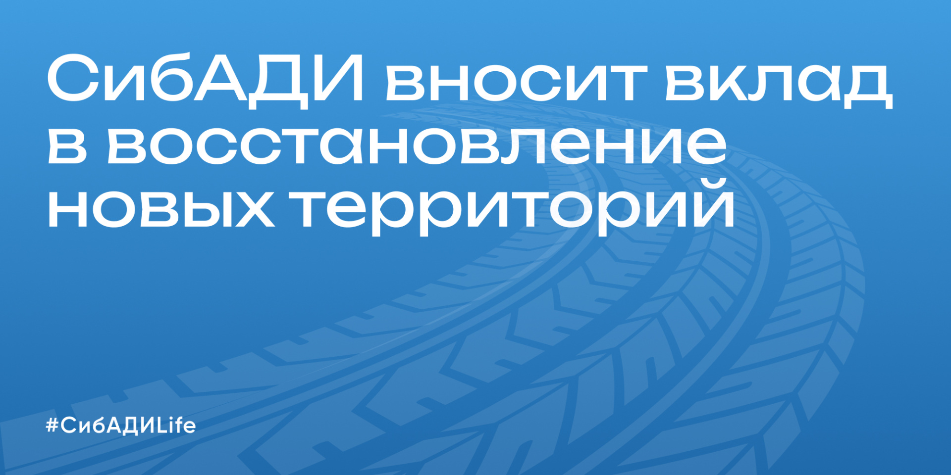 СибАДИ вносит вклад в восстановление новых территорий!