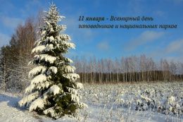Ответственное отношение к природе - основа экологии жизни: ФГБОУ ВО "СибАДИ" - участник экологических мероприятий