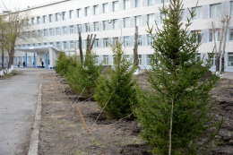 Сквер выпускников