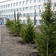 Сквер выпускников СибАДИ – символ связи поколений