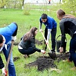 Возродим город-сад!
