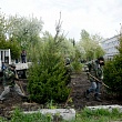 Сквер выпускников СибАДИ – символ связи поколений