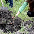 Возродим город-сад!