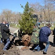 Сквер выпускников СибАДИ – символ связи поколений