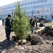 Сквер выпускников СибАДИ – символ связи поколений