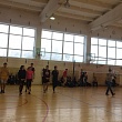 В СибАДИ прошла спартакиада студенческих отрядов Омской области