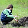 Возродим город-сад!