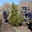 Сквер выпускников СибАДИ – символ связи поколений