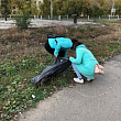 Студенты СибАДИ приняли участие в общегородском субботнике