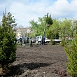 Сквер выпускников СибАДИ – символ связи поколений