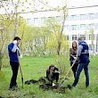 Возродим город-сад!