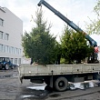 Сквер выпускников СибАДИ – символ связи поколений