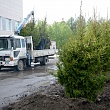 Сквер выпускников СибАДИ – символ связи поколений