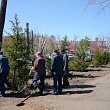 Сквер выпускников СибАДИ – символ связи поколений