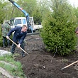 Сквер выпускников СибАДИ – символ связи поколений