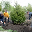 Сквер выпускников СибАДИ – символ связи поколений