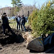 Сквер выпускников СибАДИ – символ связи поколений