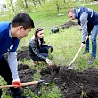 Возродим город-сад!