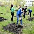 Возродим город-сад!